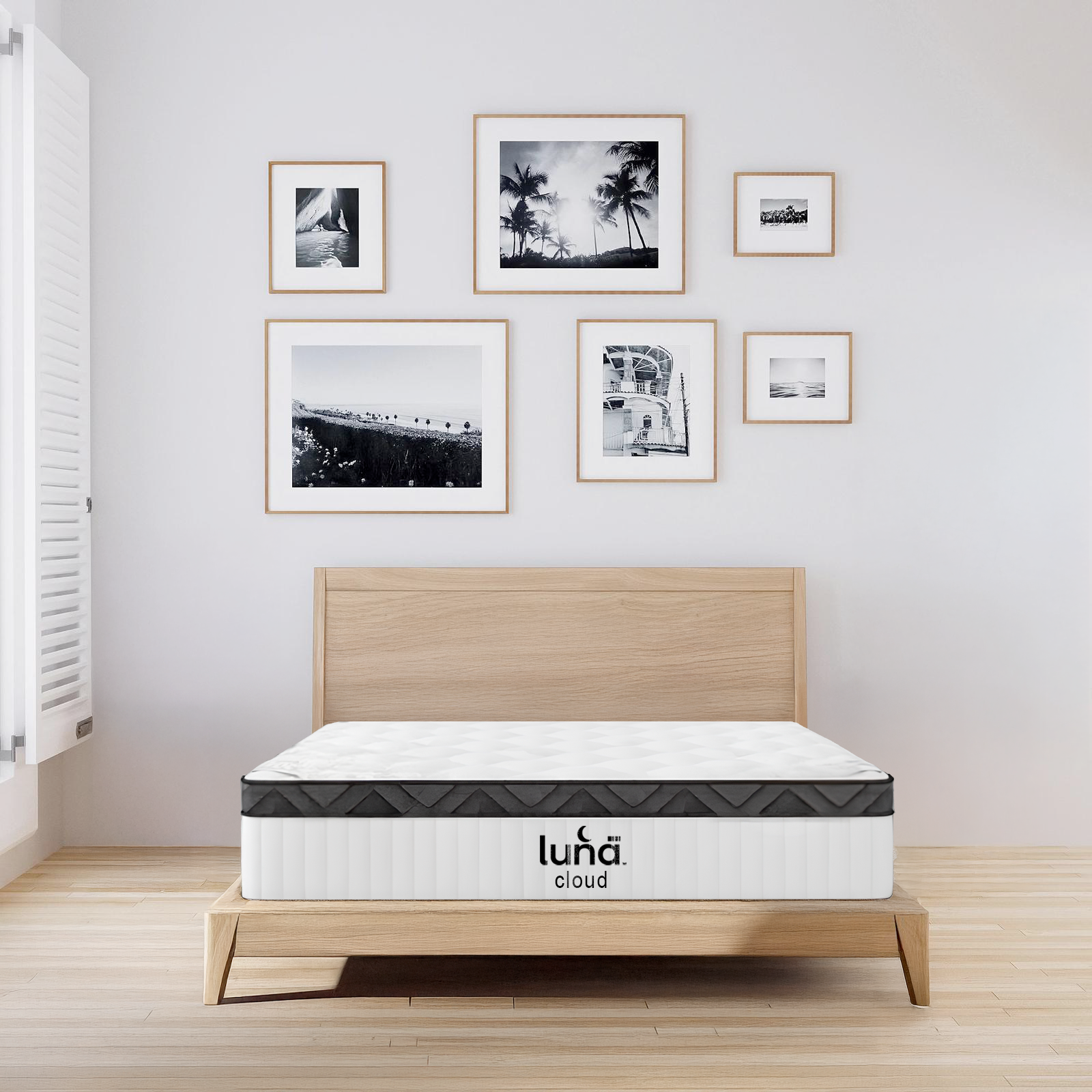 לונה דגם קלאוד