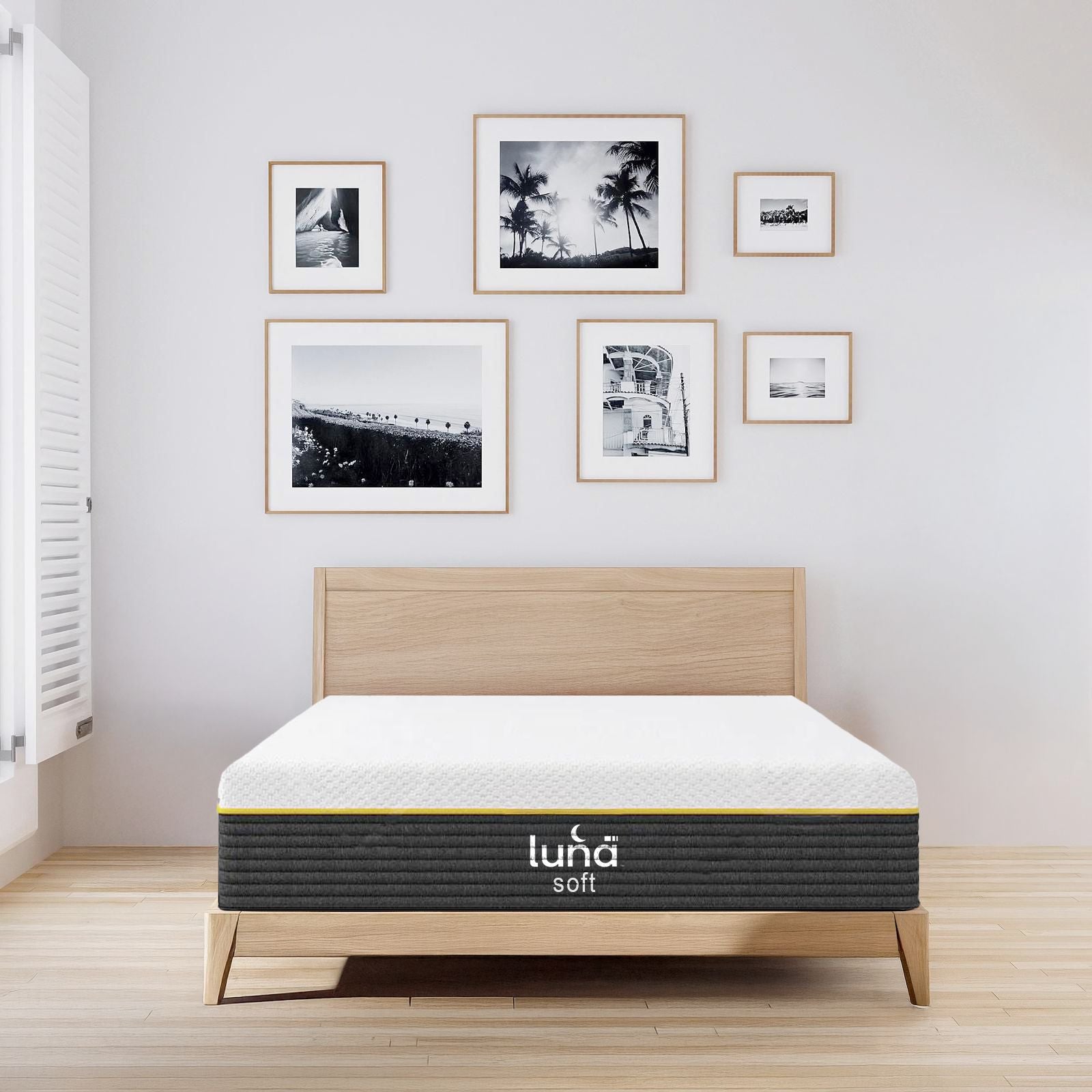 לונה דגם סופט