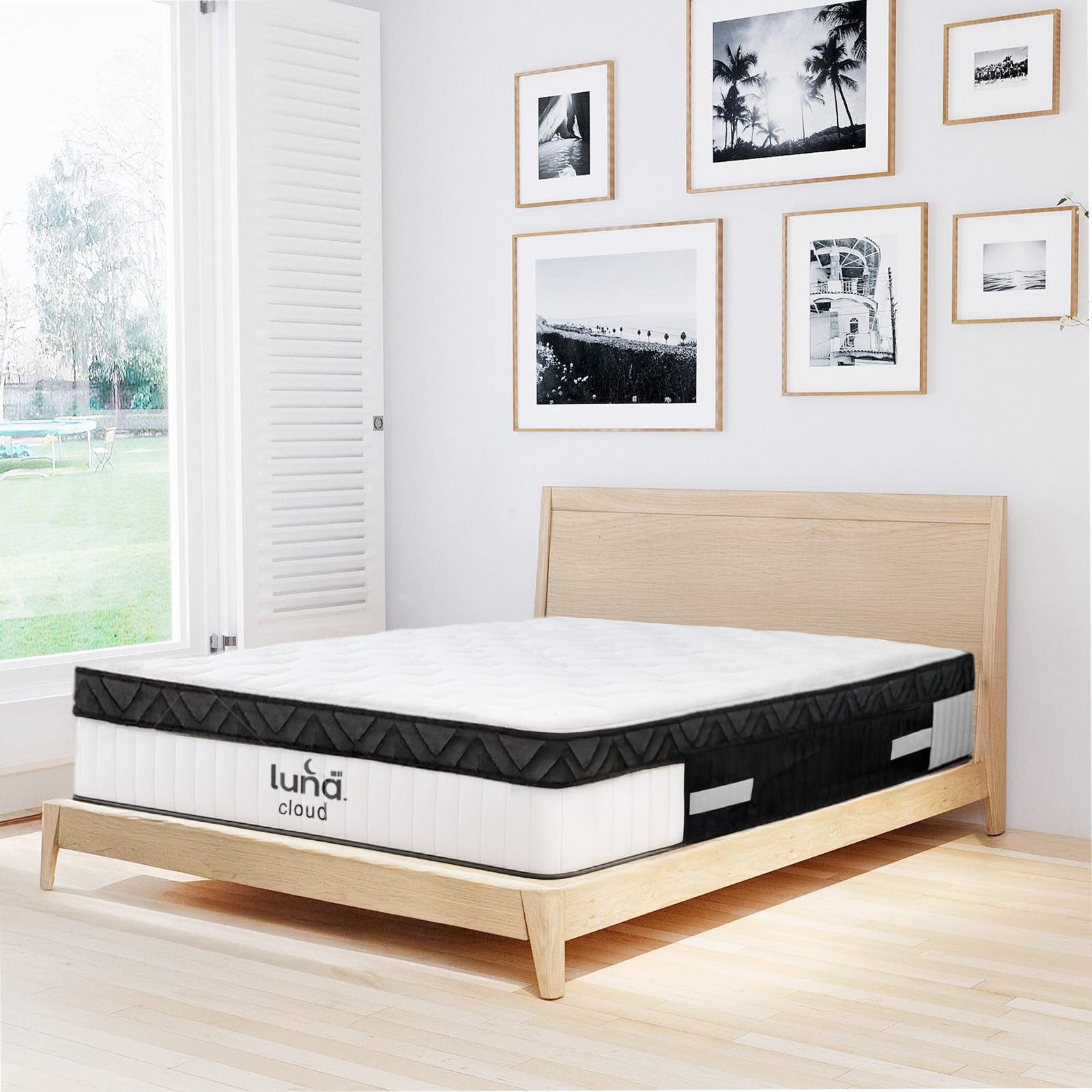 לונה דגם קלאוד